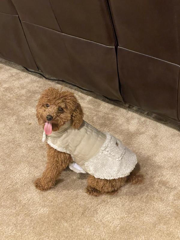 UGG® Quilted Dog Coat in Fawn Bed Bath & Beyond