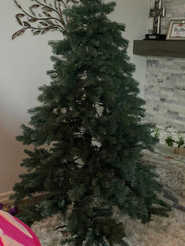 National Tree Company PreLit Douglas Blue Fir Christmas Tree Bed