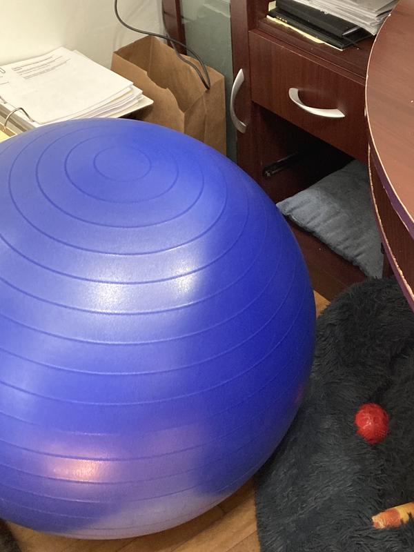 pure fitness professional exercise stability ball