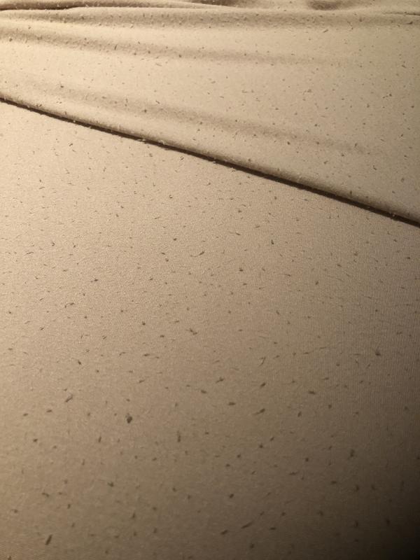 Pure Beech® Jersey Knit Modal Twin XL Sheet Set Bed Bath & Beyond