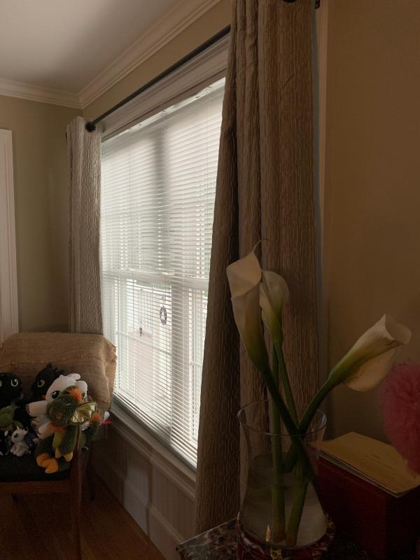 Darcy 100 Blackout Grommet Top Window Curtain Panel (Single) Bed