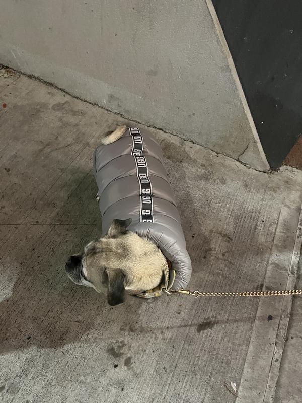 UGG® Large Pet Puffer Coat in Seal Grey Bed Bath & Beyond