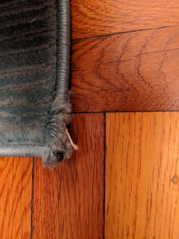 Safavieh Vision Area Rug Bed Bath and Beyond Canada