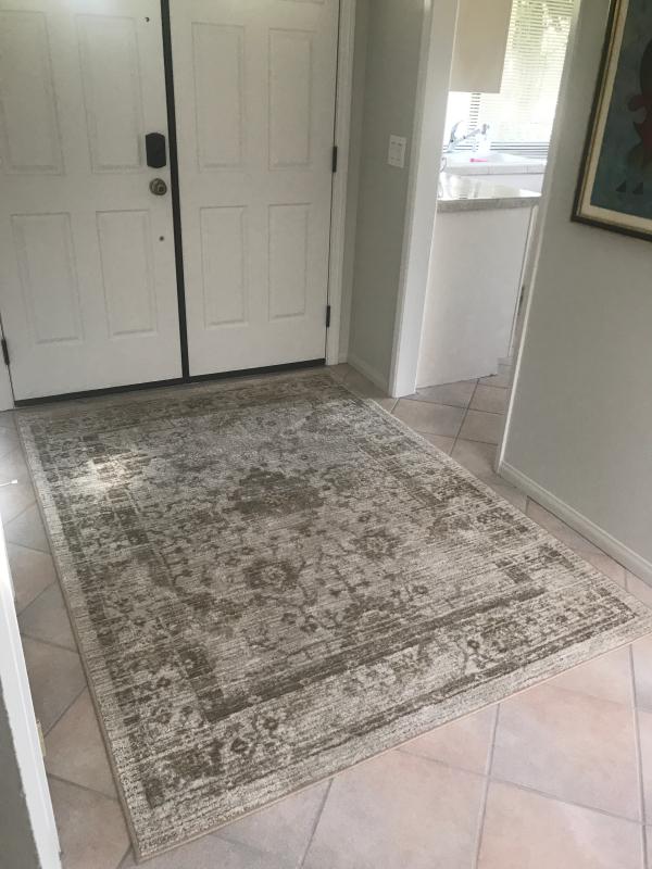 Home Dynamix Westwood Floral Rug in Taupe Bed Bath and Beyond Canada