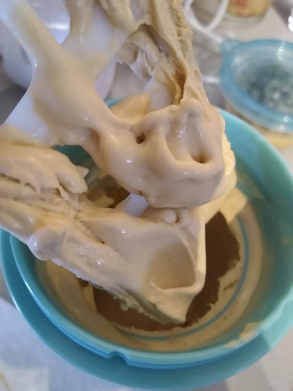 DASH® My Pint Ice Cream Maker Bed Bath and Beyond Canada