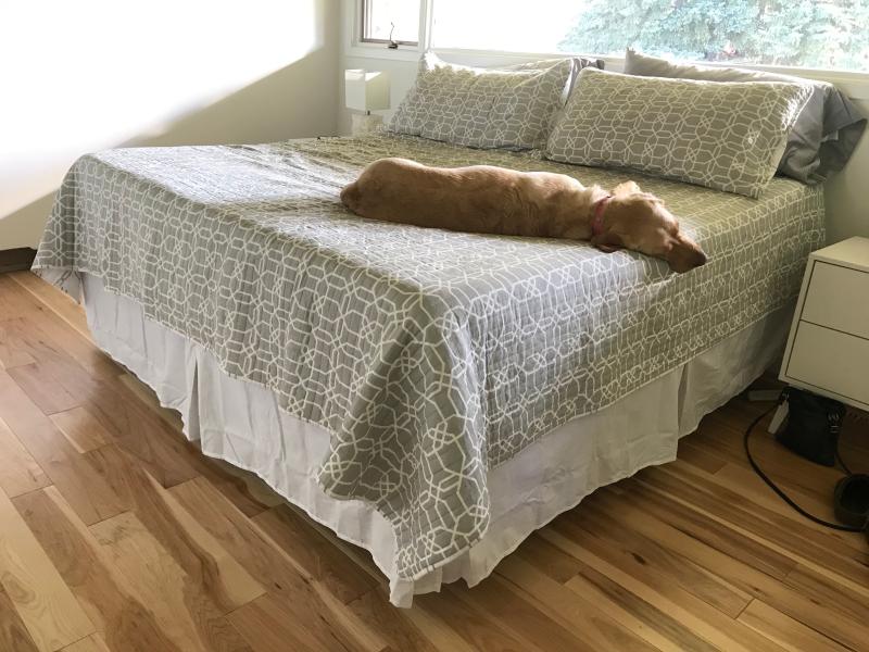 WrapAround Wonderskirt Bed Skirt Bed Bath and Beyond Canada