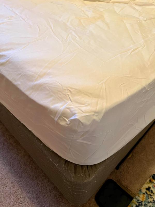 Fitted sheet