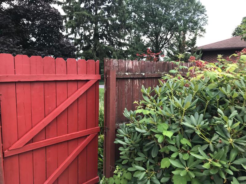 Minimalist 5 Gal White Exterior Barn And Fence Paint 