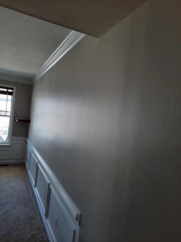 Semi gloss wall deals paint