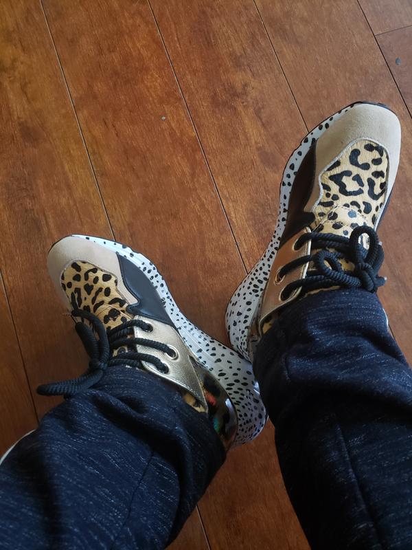 belk steve madden cliff sneakers