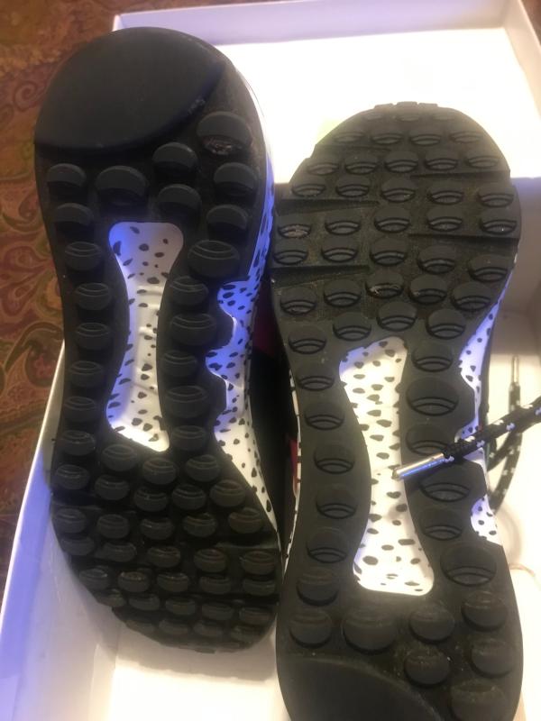 belk steve madden cliff sneakers