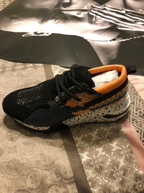 belk steve madden cliff sneakers