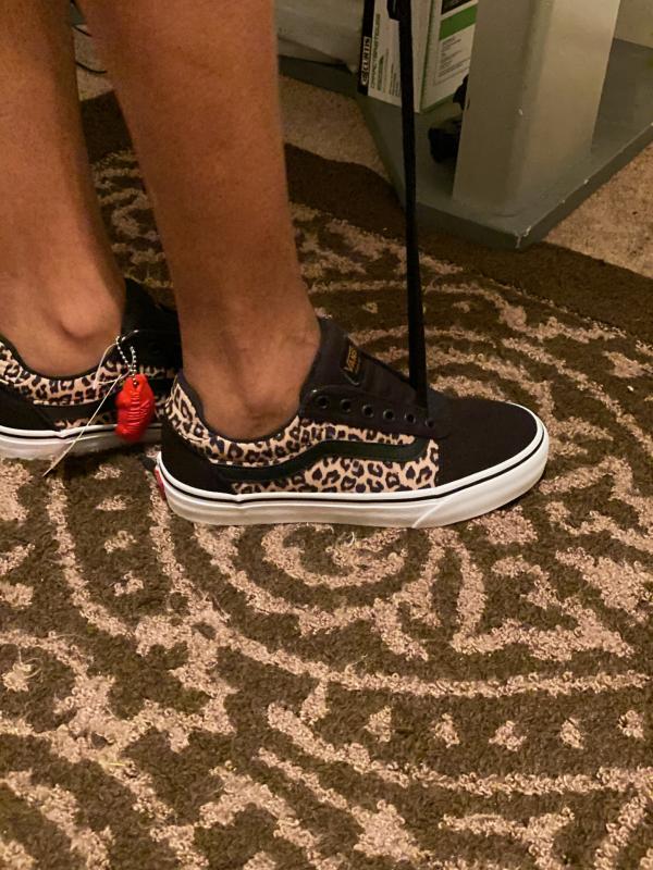 vans ward cheetah