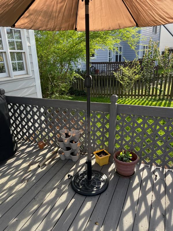 Photo from RaleighNCGuy
