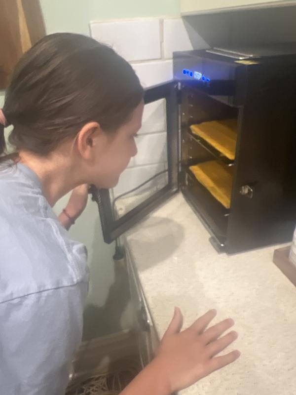 My children love using the Benchfoods Dehydrator
