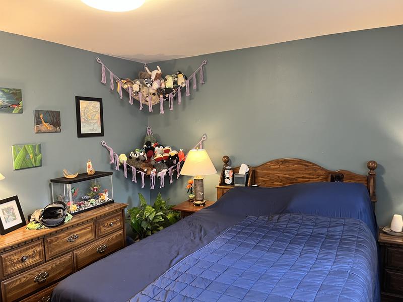 Aura® Interior Paint - Matte | Benjamin Moore