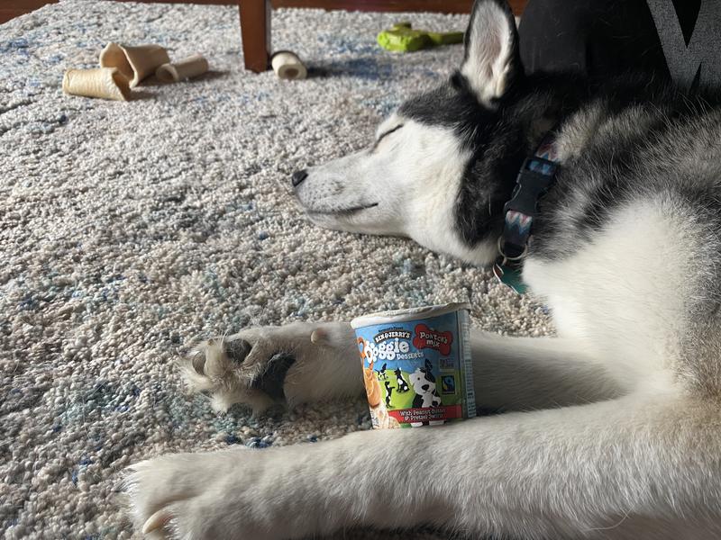 Ben & Jerry's Frozen Dog Treat Rosie's Batch 4 ct