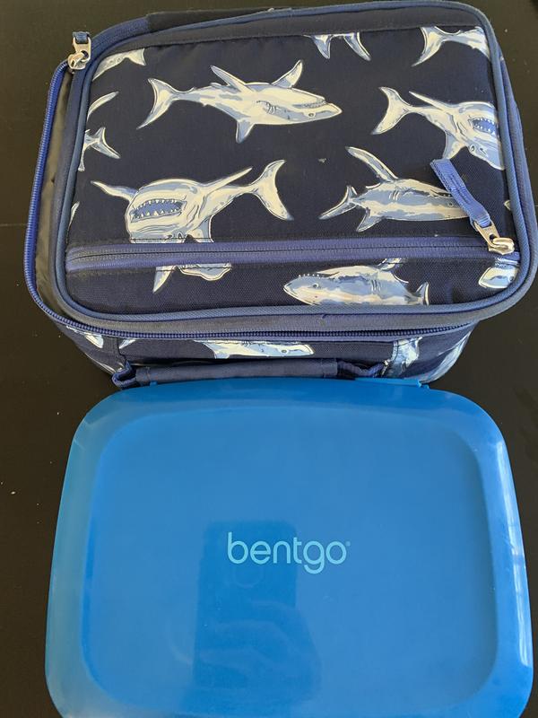 Bentgo Fresh Bento Box - Royal Blue, 1 ct - Harris Teeter