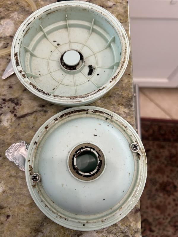 Lid of thermos after being broken open to check what the black stuff was leaking out.