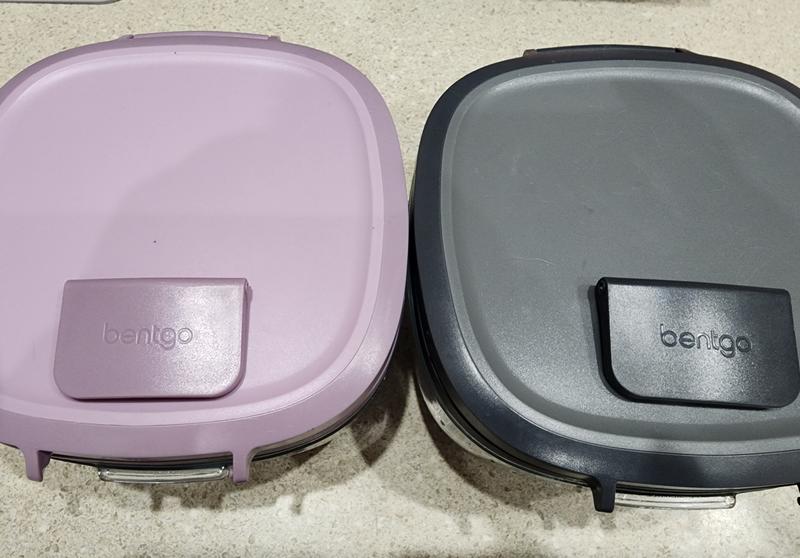 Bentgo Original All-in-One Lunch Box at Tractor Supply Co.