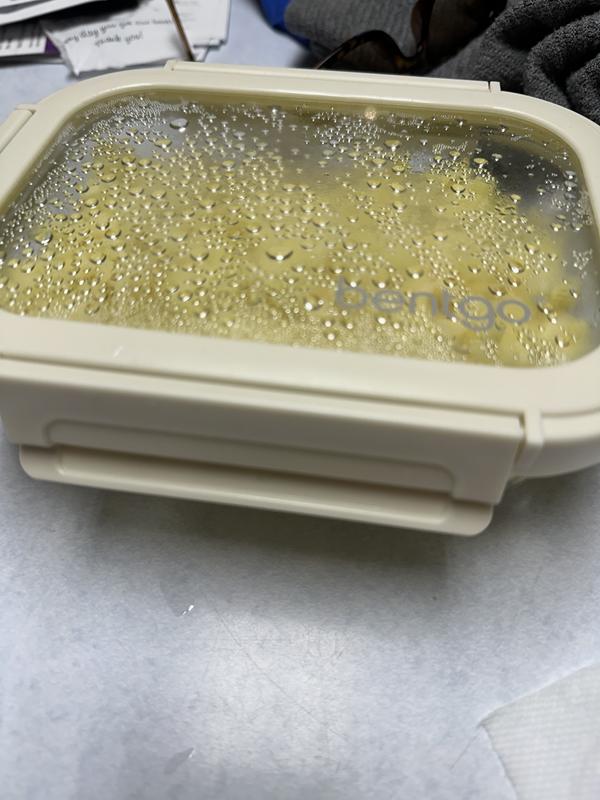 Photo from Bento glass