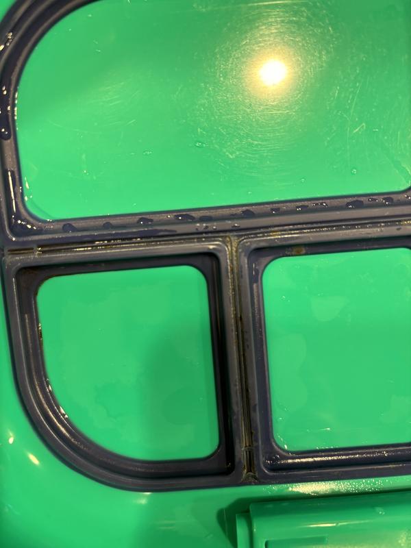 Photo submitted with review of product