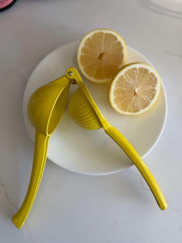 BergHOFF Essentials 8