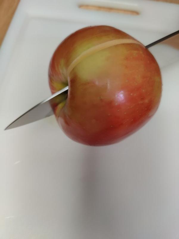 Photo from yuit_4918