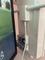 User submitted photo