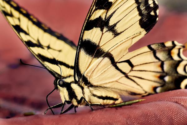 Customer photo 2 of 5. Click to open full size image.