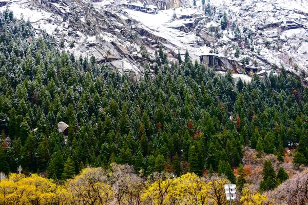 Customer photo 6 of 6. Click to open full size image.