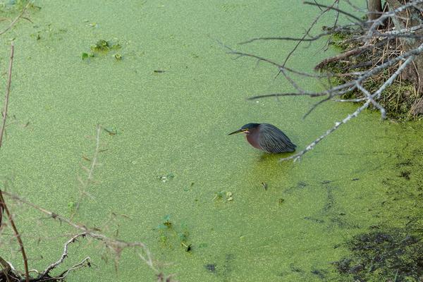 Customer photo 5 of 5. Click to open full size image.