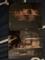 User submitted photo