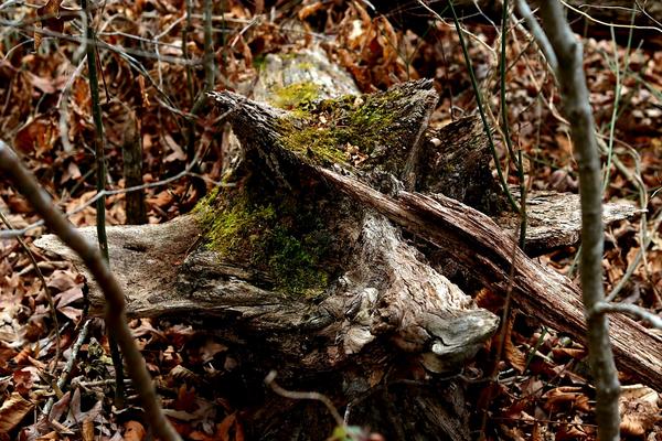 Customer photo 5 of 6. Click to open full size image.