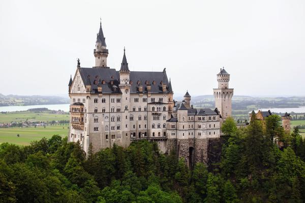 Customer photo 5 of 5. Click to open full size image.