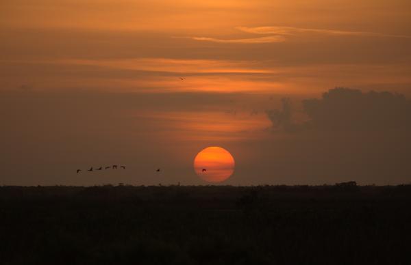 Customer photo 2 of 3. Click to open full size image.