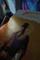 User submitted photo