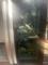 User submitted photo