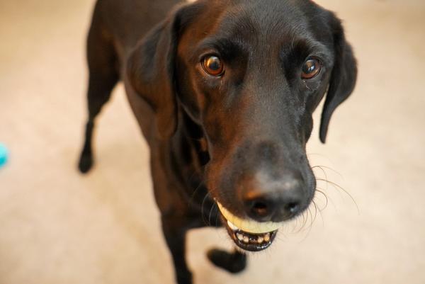 Customer photo 2 of 3. Click to open full size image.