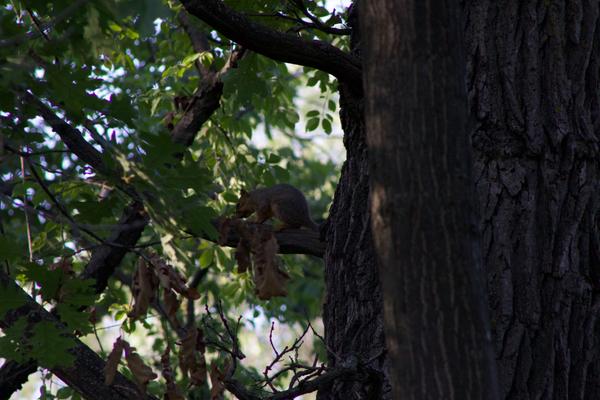 Customer photo 4 of 6. Click to open full size image.