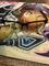 User submitted photo