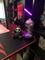 User submitted photo