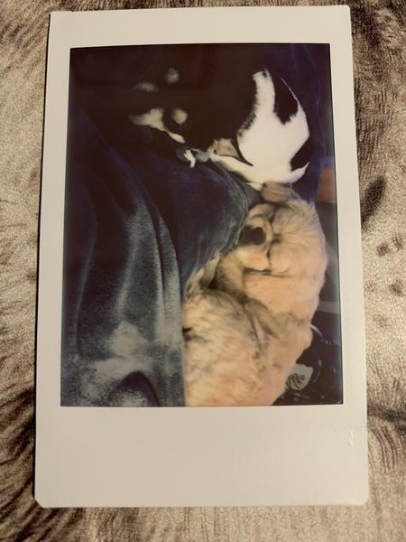 Customer photo 2 of 3. Click to open full size image.