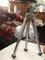 User submitted photo