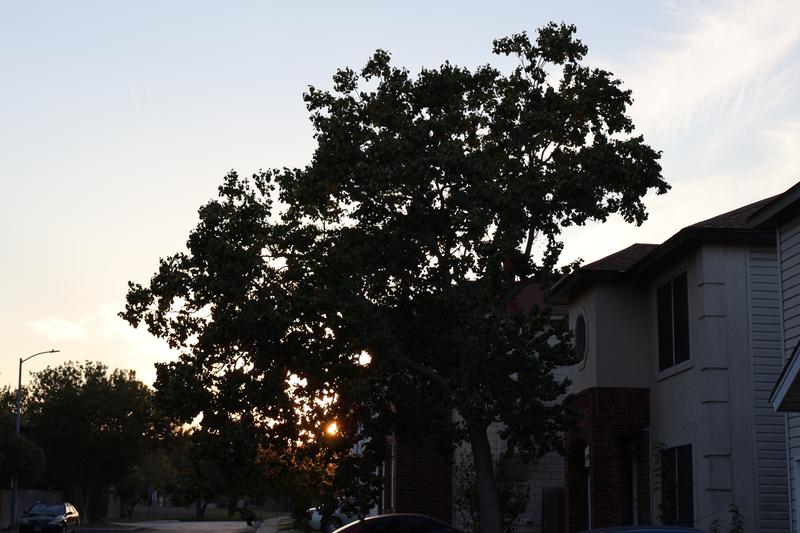 Customer photo 2 of 6. Click to open full size image.