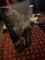 User submitted photo