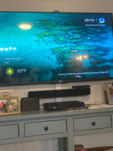 Customer photo 1 of 1. Click to open full size image.