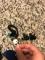 User submitted photo