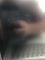 User submitted photo
