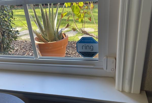 Customer photo 3 of 3. Click to open full size image.